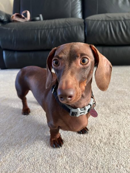 Such a character!