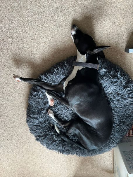 So exhausting being this handsome...