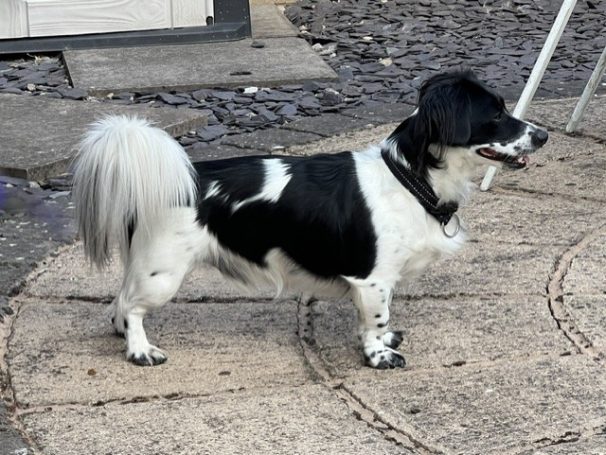 Get my good side!