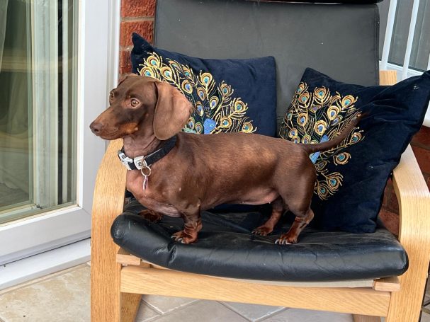 Coco making herself at home