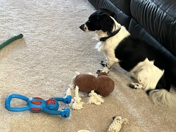 As soon as he looks away I'm having that monkey...