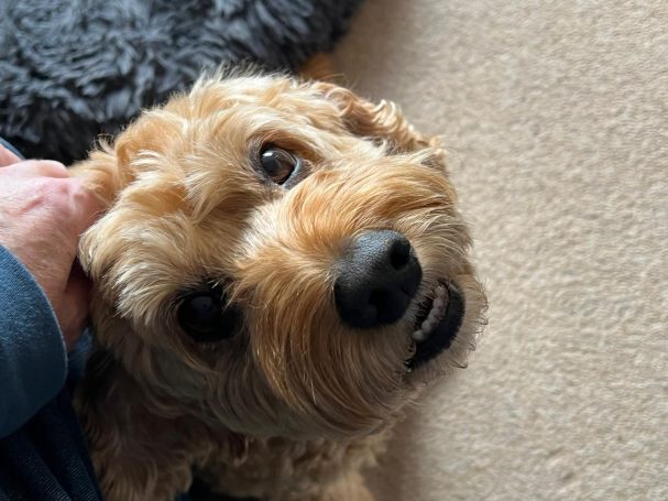'who said stop tickling me...?'